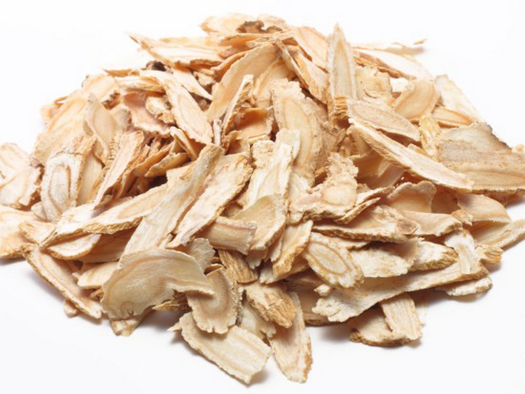 Suma Root Pfaffia Paniculata Root Extract Botanical Extracts suma-root-pfaffia-paniculata-root-extract-botanical-extracts