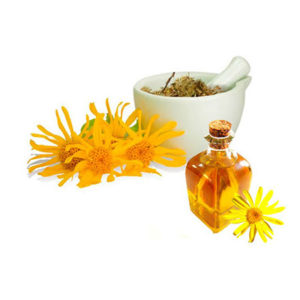 Arnica Montana in Olive Oil - 3683M