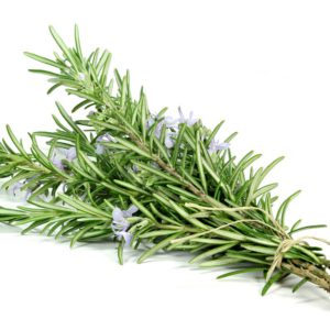 Rosemary Infused Oil - 3818A