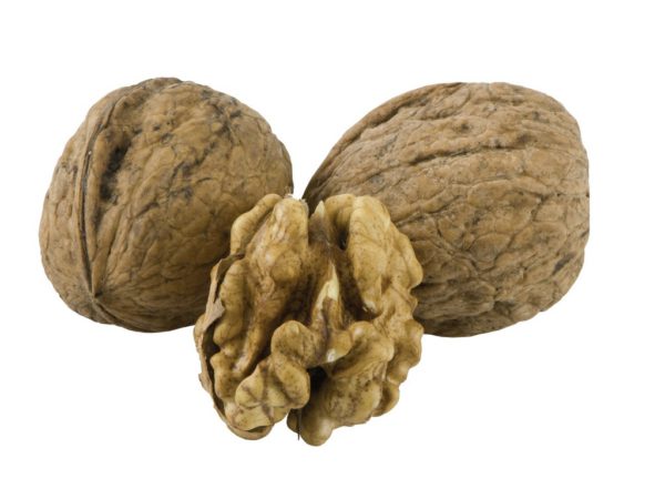 Black Walnut Hulls Juglans Nigra (Black Walnut) Shell Extract