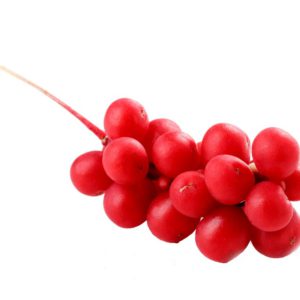 Schizandra Berry Schizandra Chinensis Berry Extract