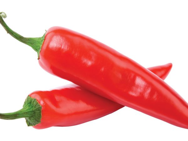 Capsicum Tincture - 5022