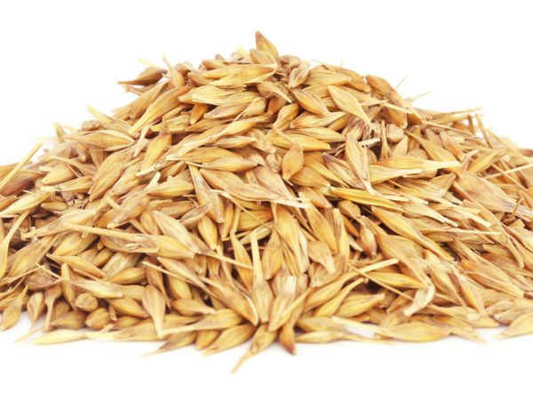 Oats, FE - 5101