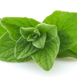 Oregano in Olive Oil - 5186
