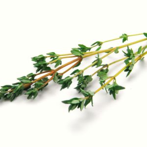 Thyme in Olive Oil - 3923