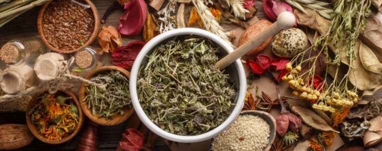 Herbs for immune support