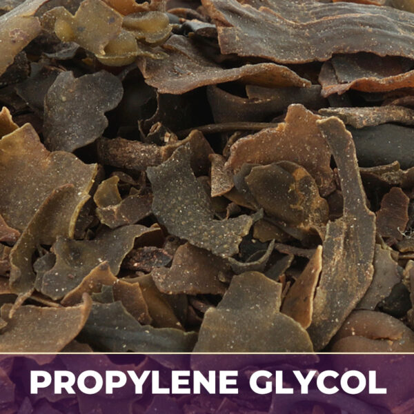 BLADDERWRACK FROND IN PG