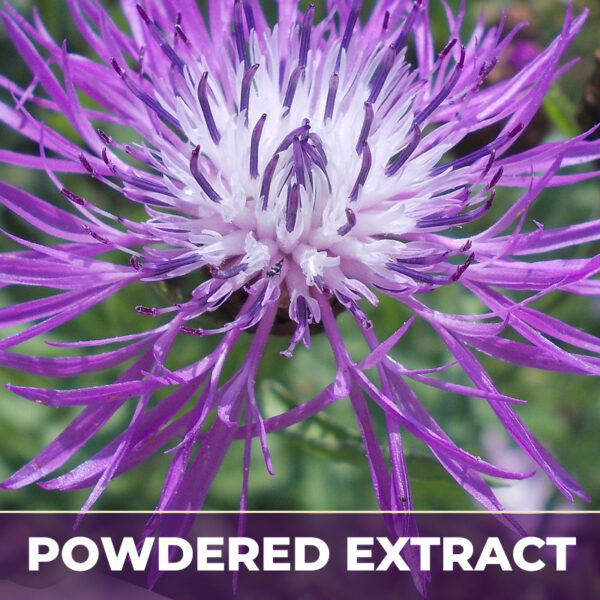 Centaury pe, powdered extract