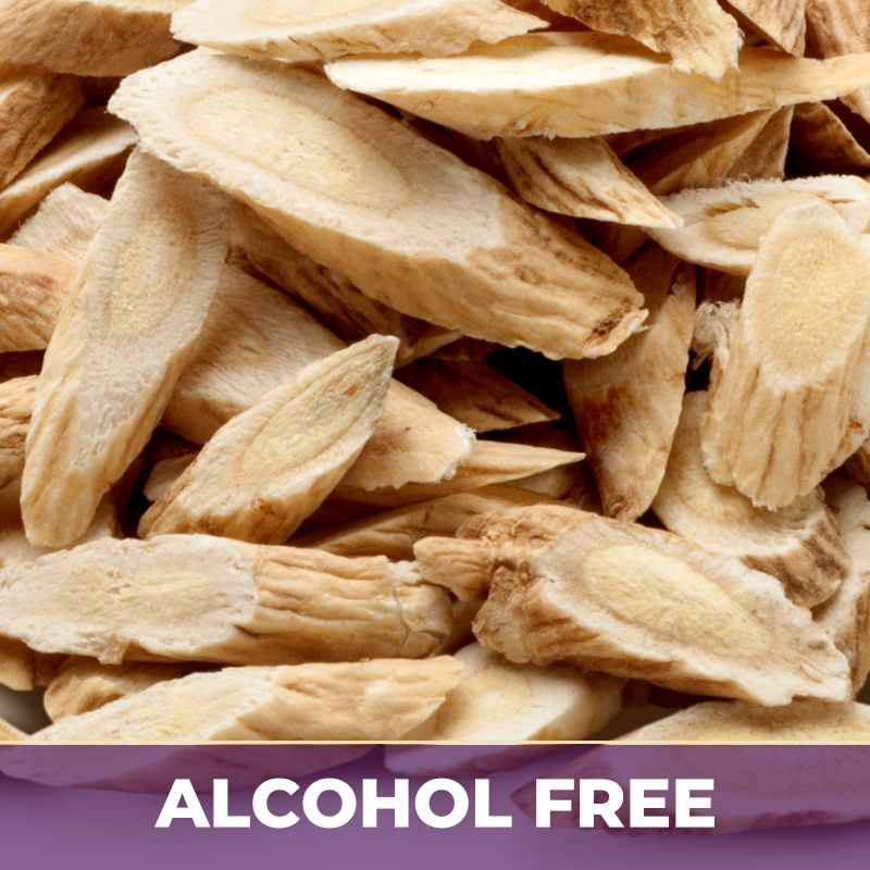 Astragalus af, alcohol-free; liquid extract