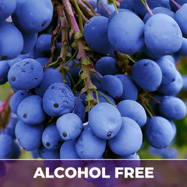 Bilberry af, alcohol-free; liquid extract