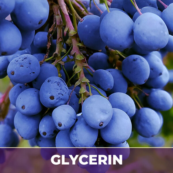 Bilberry in glycerin, liquid extract; in glycerin