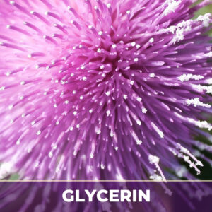 Blessed thistle herb in glycerin, liquid extract; in glycerin
