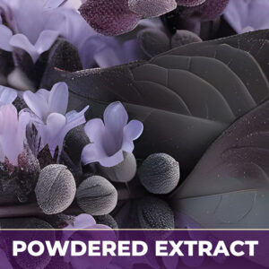 Blue cohosh pe, powdered extract