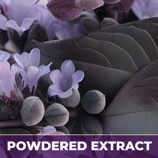 Blue cohosh pe, powdered extract