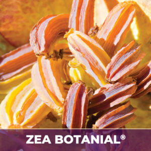 Blueberry leaf zea botanicals, alcohol-free; liquid extract; zea-botanicals line