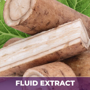 Burdock fe, liquid extract