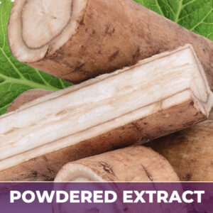 Burdock root pe, powdered extract