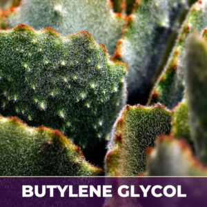 Cactus grandiflorus flower in bg, liquid extract; in butylene glycol
