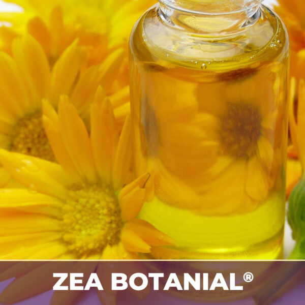 Calendula flower zea-botanicals, zea-botanicals line