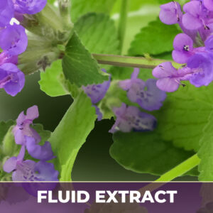 Cat-nip fe, liquid extract