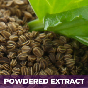 Celery 6:1 pe, powdered extract