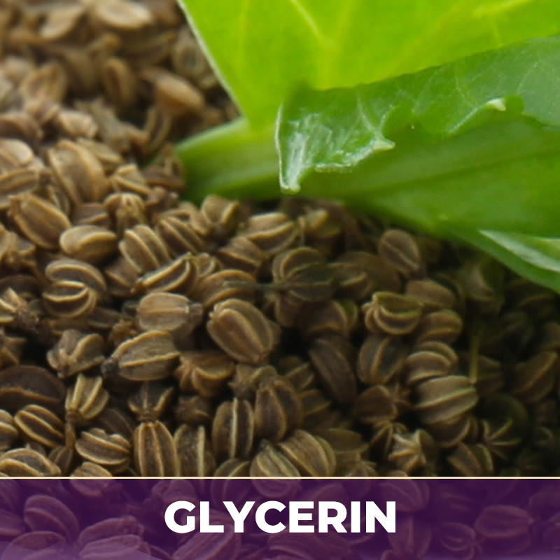 Celery seed in glycerin, liquid extract; in glycerin