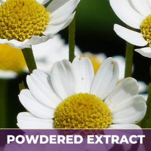 Chamomile flower pe, powdered extract