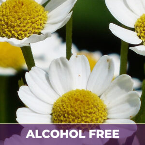 Chamomile flowers af, alcohol-free; liquid extract