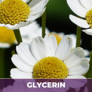 Chamomile flowers in glycerin, liquid extract; in glycerin