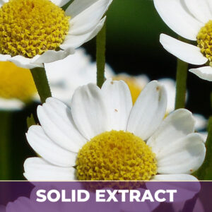Chamomile se, solid extract