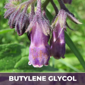 Comfrey leaf in bg, alcohol-free; liquid extract; in butylene glycol