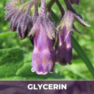 Comfrey leaf in glycerin, alcohol-free; liquid extract; in glycerin
