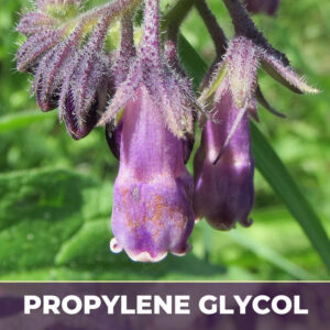 Comfrey leaf in pg, alcohol-free; liquid extract; in propylene glycol