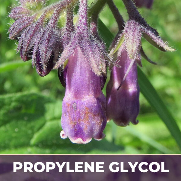 Comfrey leaf in pg, alcohol-free; liquid extract; in propylene glycol