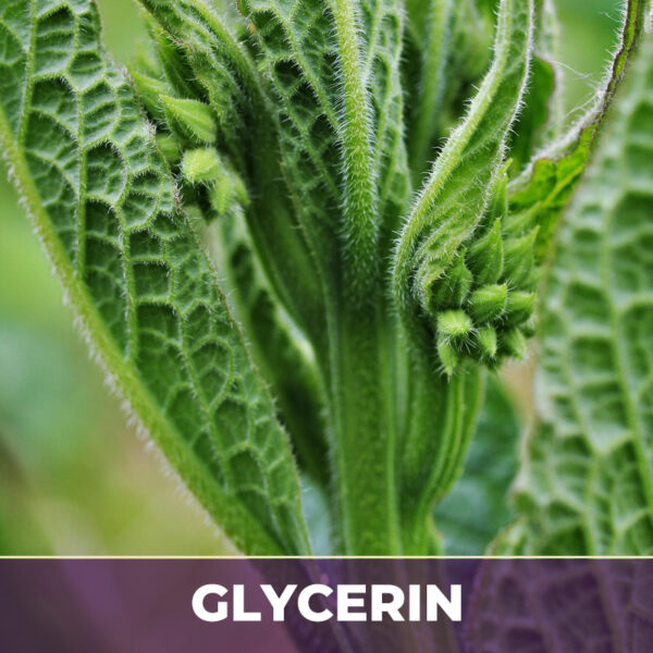 COMFREY ROOT IN GLYCERIN