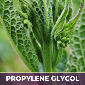 Comfrey root in glycerin, liquid extract; in glycerin