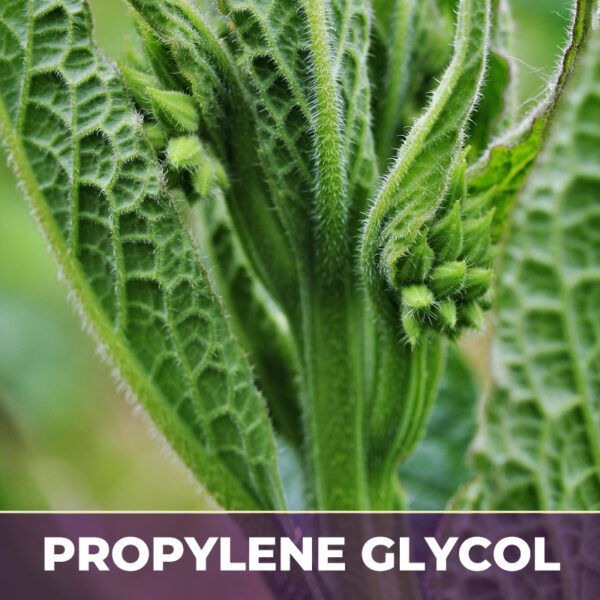 Comfrey root in glycerin, liquid extract; in glycerin