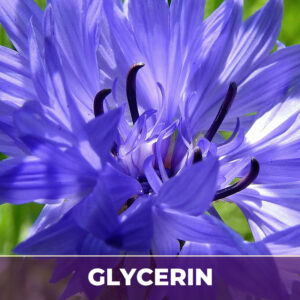 Corn flower in glycerin, liquid extract; in glycerin