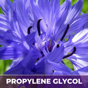 Corn flower in pg, liquid extract; in propylene glycol
