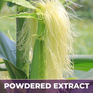 Corn silk pe, powdered extract