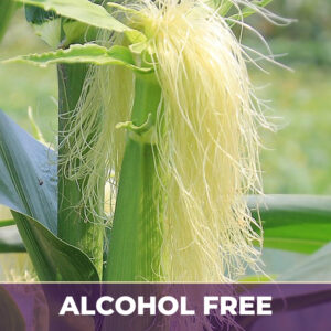 Cornsilk af, alcohol-free; liquid extract