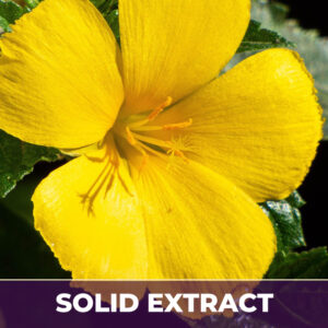 Damiana leaf se, alcohol-free; liquid extract