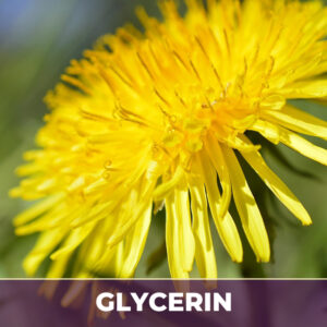 Dandelion root in glycerin, liquid extract; in glycerin