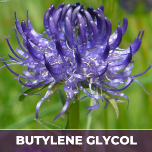 Devil's claw root in bg, liquid extract; in butylene glycol