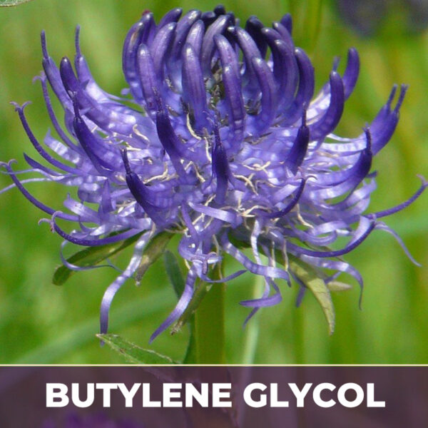 Devil's claw root in bg, liquid extract; in butylene glycol