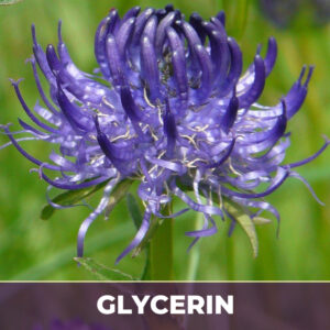 Devil's claw root in glycerin, liquid extract; in glycerin