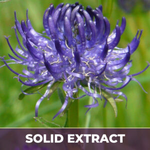 Devils claw se, solid extract