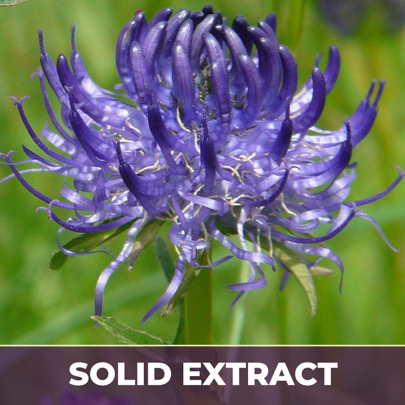Devils claw se, solid extract