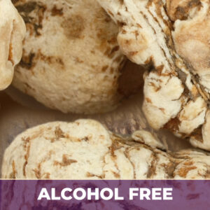 Dong quai af, alcohol-free; liquid extract
