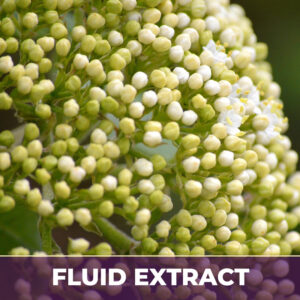 Elder flowers fe, liquid extract